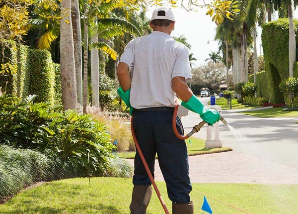 About Hiram GA Pest Control Pros